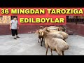 ARASHAN EDILBOYLAR KELDI 36 MINGDAN TAROZIGA BERAMAN