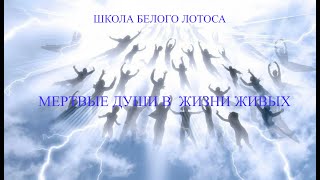 Секта или души умерших за идеей!!!