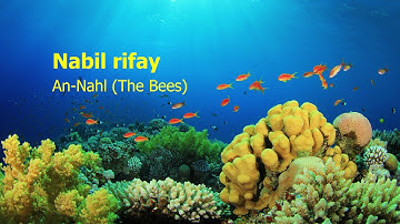 Nabil Rifay   Surah An Nahl The Bees نبيل رفاعي   سورة  النحل