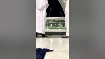 تلاوة مؤثرة للشيخ عبدالله الجهني حفظه الله حالات الواتس