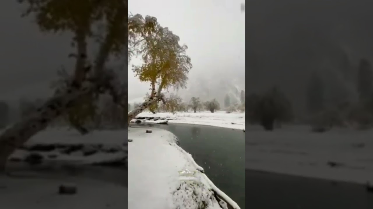 shahi bagh utror  swat Pakistan 🇵🇰 ♥️ 😍. 