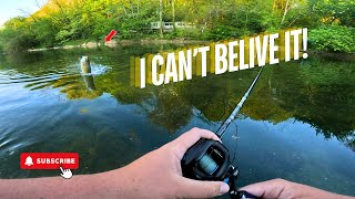 GIANT Smallmouth Bass in the CREEK!