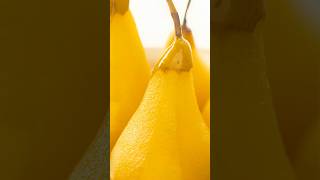 Poached Pears in White Wine with Spices ⭐ #PoachedPears #WhiteWine #Spices
