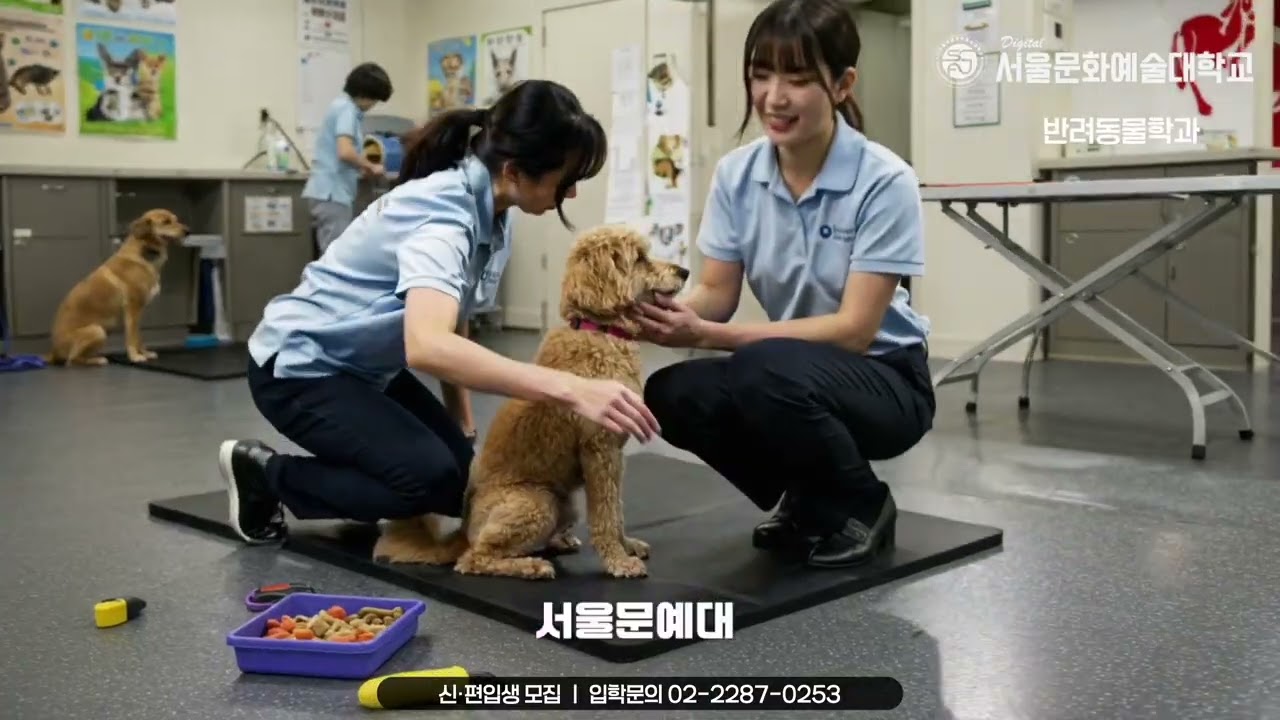 [디지털서울문화예술대학교] 2025학년도 2학기 신•편입생 모집!