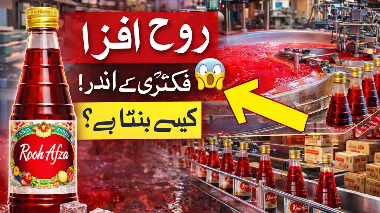 How Daily Life Things Are Made in Factory | Mr Facts Hacker 🤬