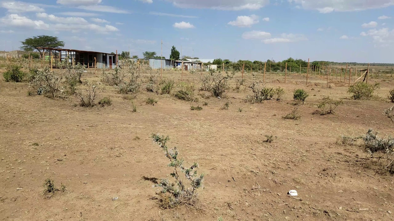 Video of Affordable plots for sale in Narok Kenya YouTube