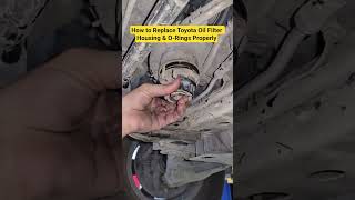 How to Change Toyota Oil Filter Housing & Cartridge #shorts