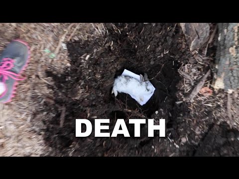 When a pet dies - YouTube