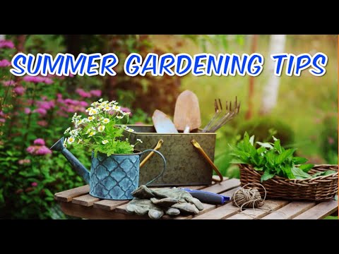 Green Thumbs Unite: Ultimate Summer Gardening Tips for a Flourishing ...