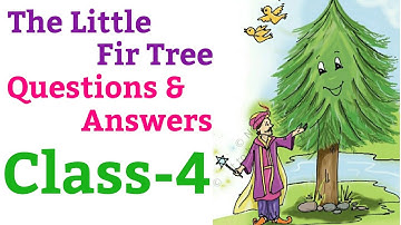 The Little Fir Tree | Questions-Answers, English For Class 4th (NCERT) |