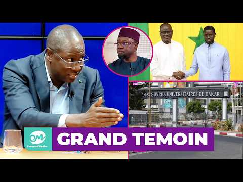 Aff. des 20 000 ordinateurs : Daouda Ngom dévoile de nouveaux détails "Sonko Ak DIomaye..."