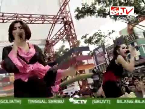 putri penolope. keong racun