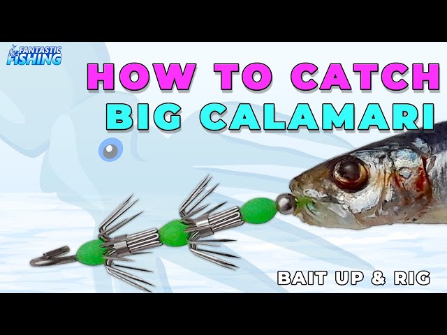 How To Make Squid Jig Hook With Barb To Catch Big Calamari And