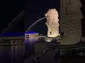 Walking In Singapore | Epic Merlion Park Night View