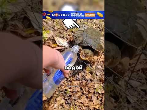 Она сделала огромную ошибку, и пожалела.. 🥹❤️ #shorts #фильмы