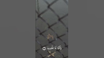 مقطع بصوت الشيخ ناصر القطامي من سورة سبأ