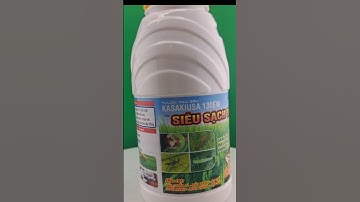 Ruồi vàng, sâu đục trái, sâu xanh, ruồi đục quả, rệp sáp, rầy xanh