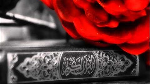 الشــيخ "انــس العمـــادي " لـيلـه قـــيام 24 رمضان 1435 سوره الحـجـرات كامله