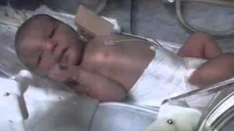 craig philip pollock march 31 2012