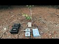 George PVS - Sound of the plants VI 🌿 INSTRUO Nature Project