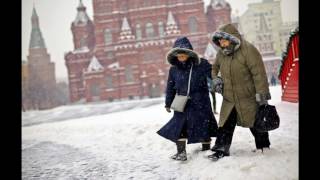 видео Московскому зоопарку 12 февраля исполняется 153 года