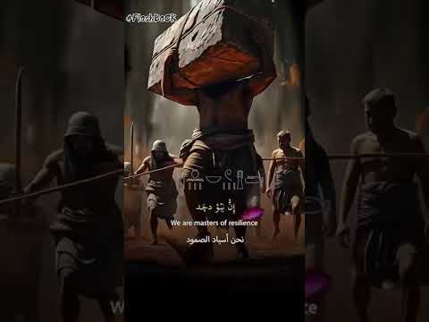 نحن شعب مصر
