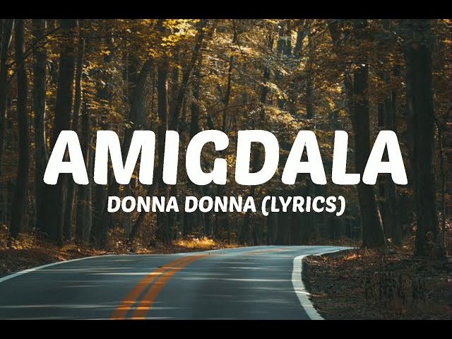 Amigdala - Donna Donna ( Lyrics ) class=