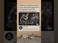 Helldivers 2 Players Think They Found The Perfect Mortal Kombat Armor #Helldivers2
