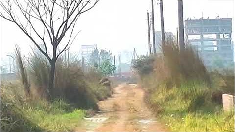 📌 Urgent Sale ! A 3 katha plot at L Block, Bashundhara.