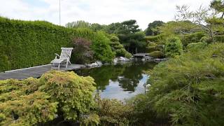Modern Koi Blog #323 - Foil pond in the middle of nature