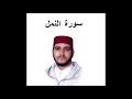 سورة النمل العيون الكوشي تسجيل نادر 1993 سورة النمل العيون الكوشي تسجيل نادر 1993