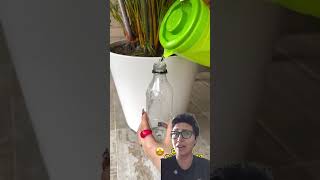 Se você é uma pessoa esquecida, faça isso #dicas #planta #ideiasbrilhantes