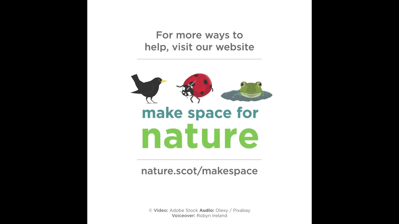One Way to Make Space for Nature this Autumn 