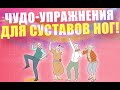 Чудодейственные упражнения для суставов ног | ЛФК