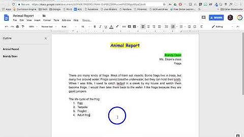 Google Docs - Bulleted Lists and Numbered Lists