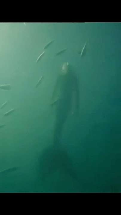 Weird world 🌎 #world #marmed #ravikumarking #music #phonk