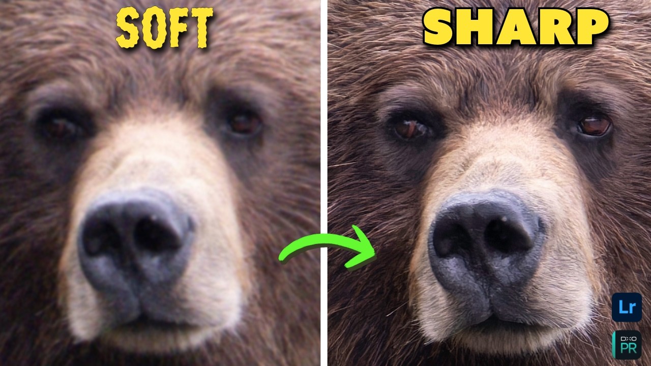 How to Sharpen & Remove Noise for Crystal Clear Photos (Fast & Easy!)