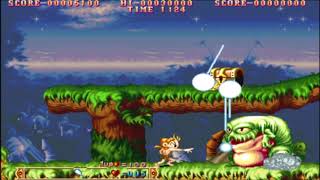 Rgj Three Wonders Stage1-1 Forest Country Midnight Wanderers