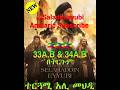 Saladin Ayubi Amharic 