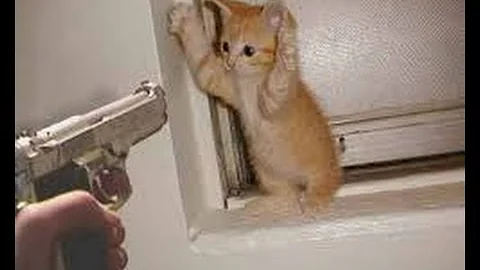 Funny School Fails Compilation   'School's Out' By FailArmy