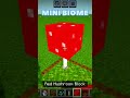 Mini biome in Minecraft 🔥🤯#4 #shorts
