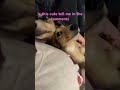 Aren’t they just adorable