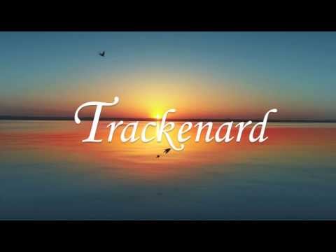 NononoPumpin Blood Belarbi Remix)