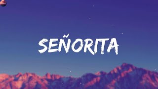 Shawn Mendes  Seorita s