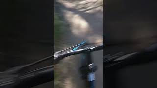 24 in Schwinn sidewinder review and we smash thru the Fullerton loop perverse mountain biking