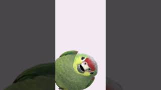 Fx Yixyfx Yfxo Ihid X Vy Hx