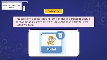 Digi Track Class 5 Chapter 8 More About Scratch