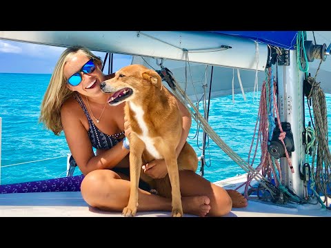Living On A Boat WITH A DOG || EVERYTHING you ever wanted to know!!