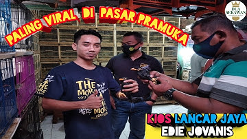 PALING VIRAL ! UPDATE HARGA BURUNG TERBARU KIOS LANCAR JAYA EDIE JOVANIS PASAR PRAMUKA