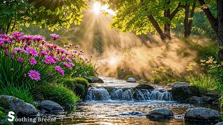 : Music heals the soulReduce stress, stop overthinking, relaxing sounds